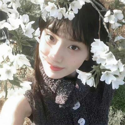 女作家与谋杀案第十季