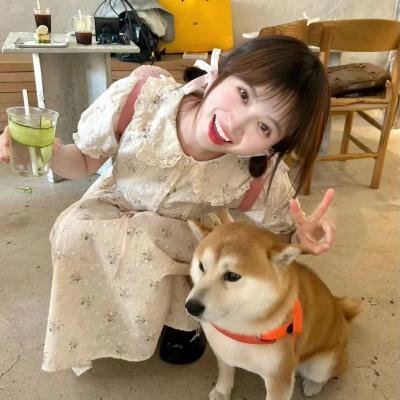 盒装美人